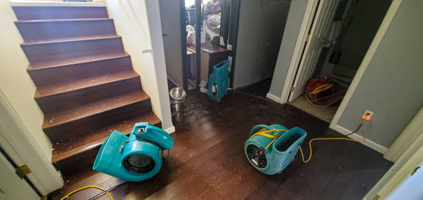 Best Water damage restoration near me  in Saluda, SC