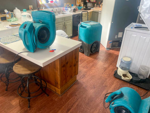 Trusted Saluda, SC Water damage restoration Experts