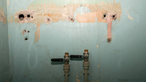 Best Fire Damage Restoration  in Saluda, SC